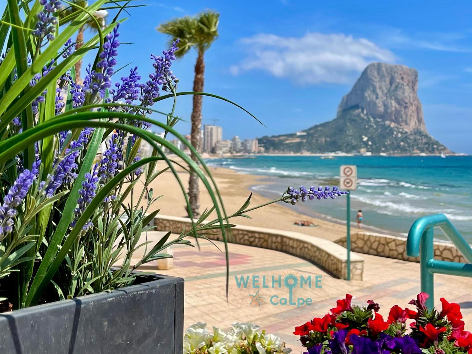 Acuarela Estudio, 1ª Linea, Vista Al Mar, Piscina Calp Dış mekan fotoğraf