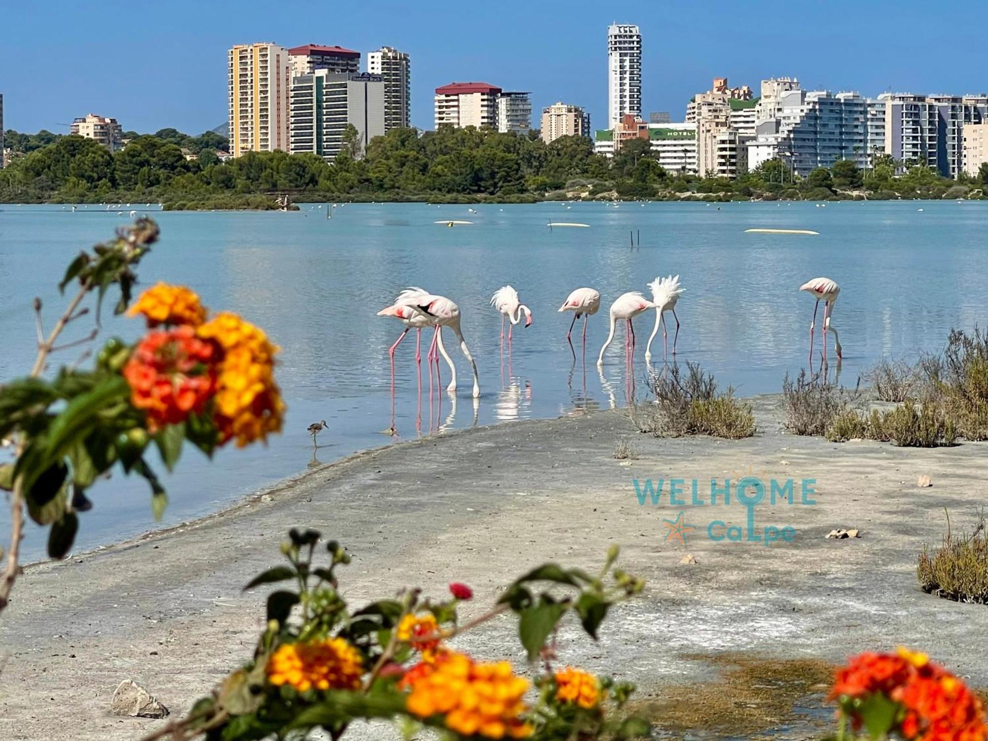 Acuarela Estudio, 1ª Linea, Vista Al Mar, Piscina Calp Dış mekan fotoğraf